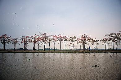 《星空》缺少官方Mod工具支持 民间大神们很失望